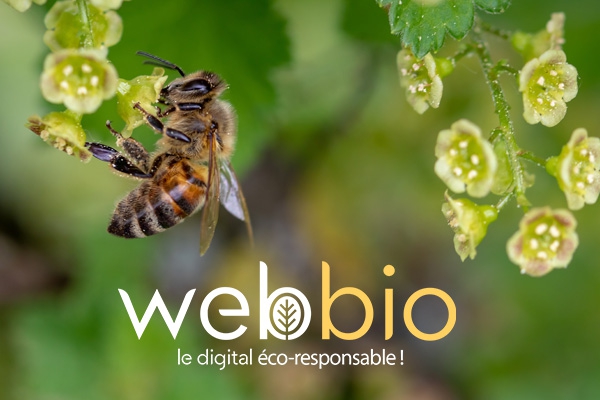 Webbio, avoir un site internet &eacute;co-responsable est possible !